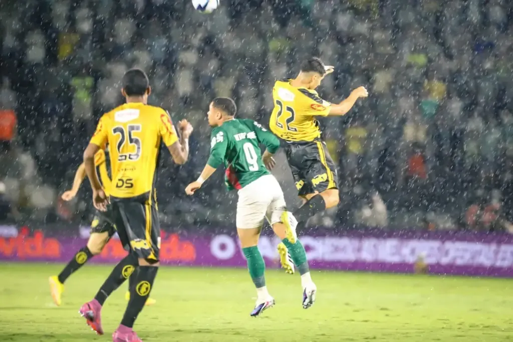 Palmeiras conquista 27º título do Campeonato Paulista