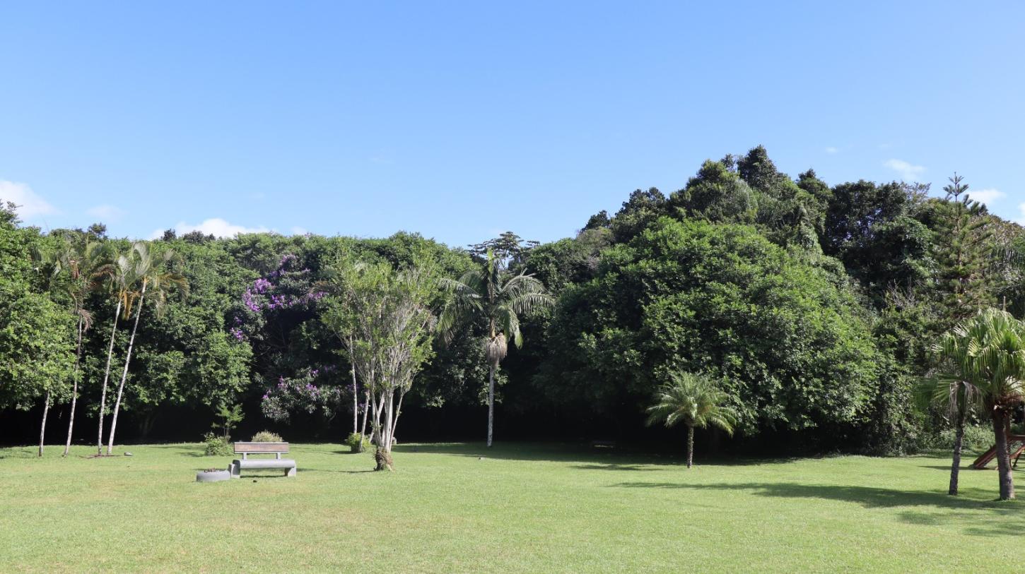 Boletim das Chuvas: Balneário Camboriú registra alagamento de residência, queda de galhos e pontos de deslizamentos