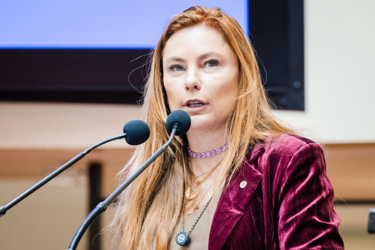 Deputada Paulinha propõe Comissão Mista para avaliar todos os PL's de proteção à mulher e combate ao feminicídio em Santa Catarina