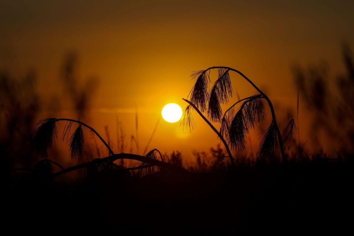 Feriado de Páscoa será de sol e temperaturas próximas dos 30°C em Santa Catarina