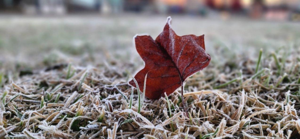 Frio intenso chega a Santa Catarina nesta quinta-feira com mínimas de -5°C