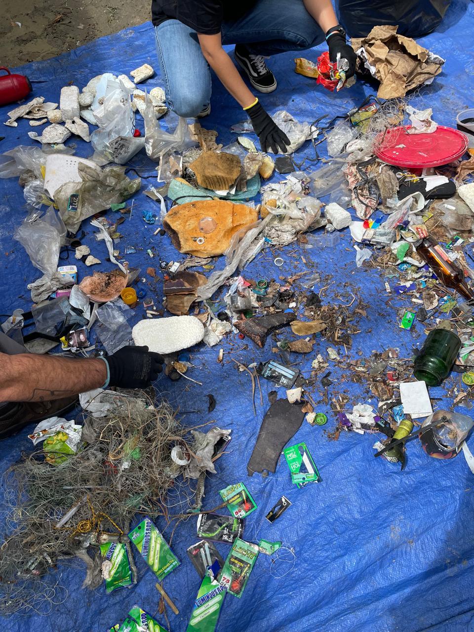Mergulhadores profissionais realizam a limpeza dos costões de Balneário Camboriú