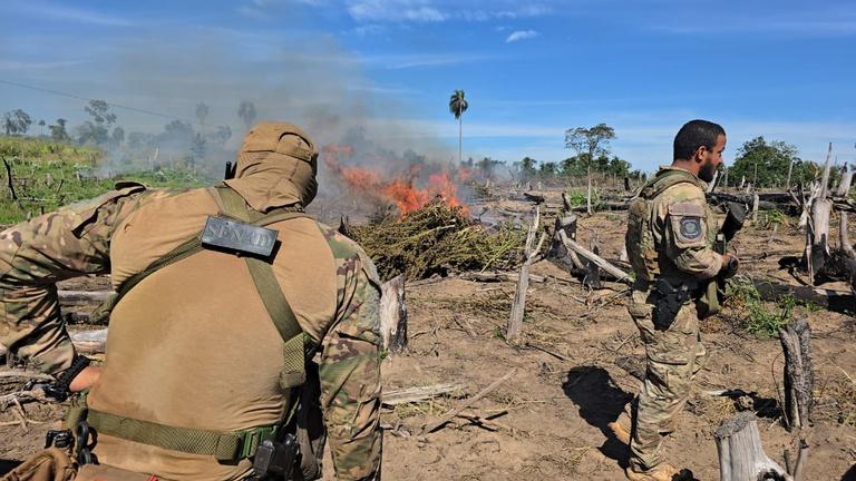 Polícia Federal e SENAD Paraguai encerram 55° fase da Operação Nova Aliança