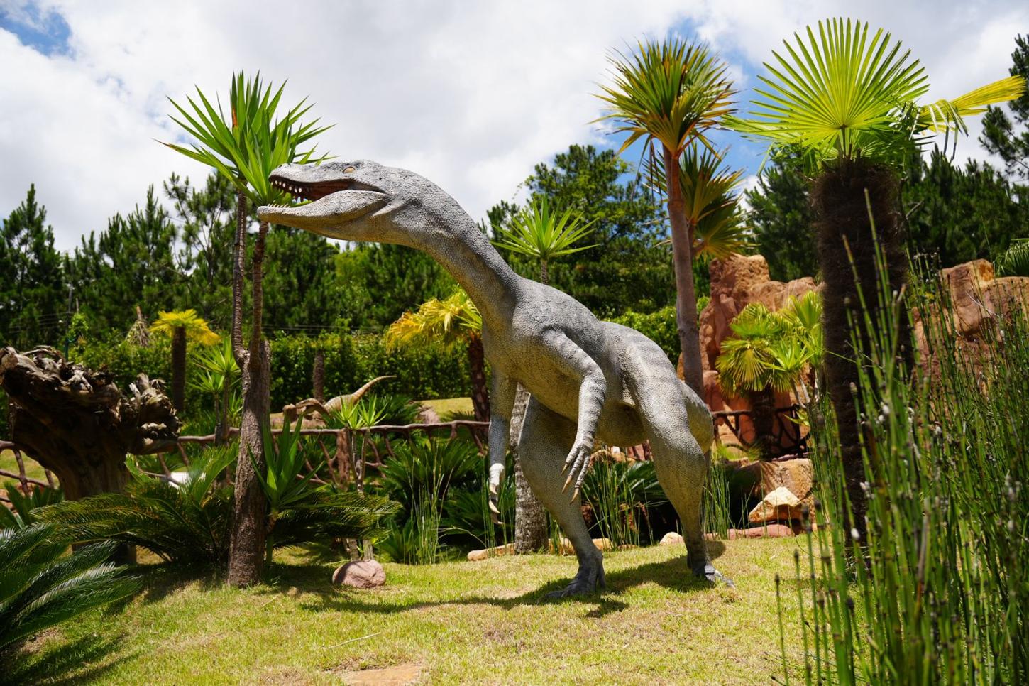 Fósseis e até fezes petrificadas: como paleontólogos descobrem os hábitos dos dinossauros