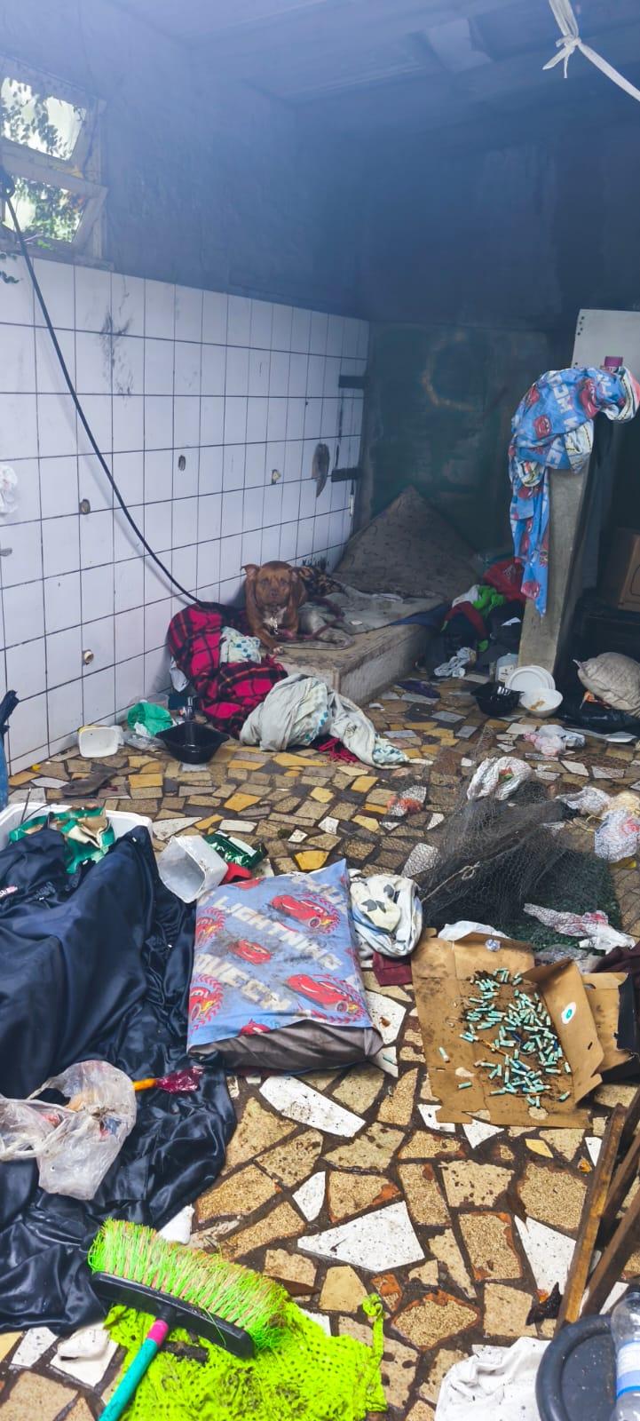 Guarda Ambiental resgata cão abandonado em residência no Bairro dos Estados