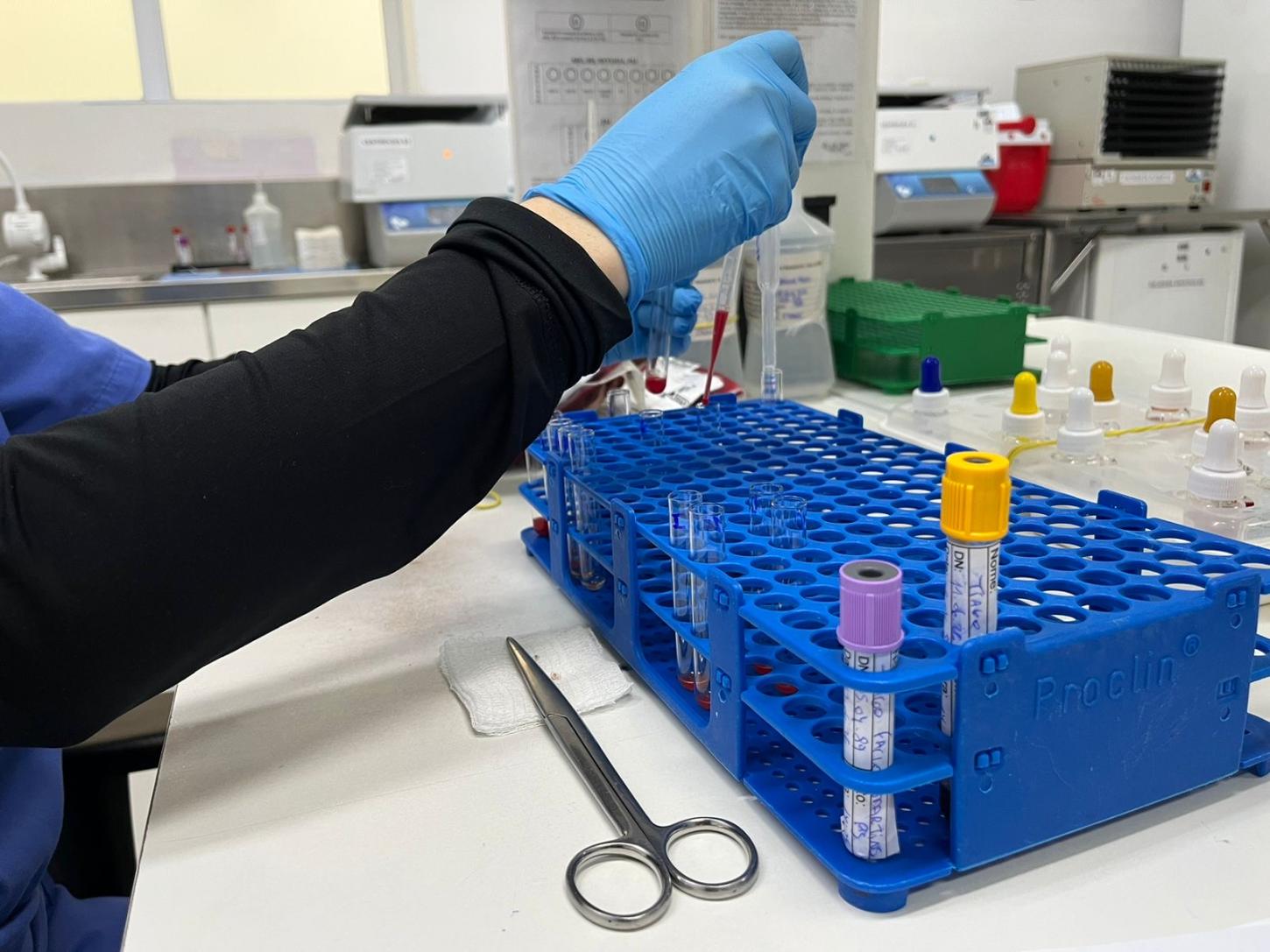 Junho Vermelho: Saúde de Balneário Camboriú facilita doação de sangue com transporte gratuito