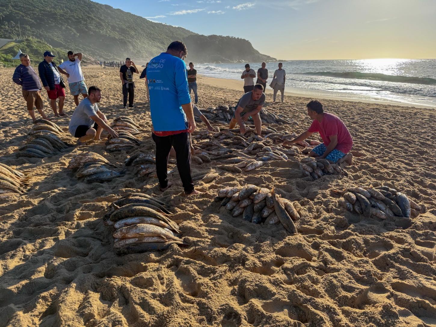 Pesca da tainha é retomada em Balneário Camboriú após liberação de cota extra