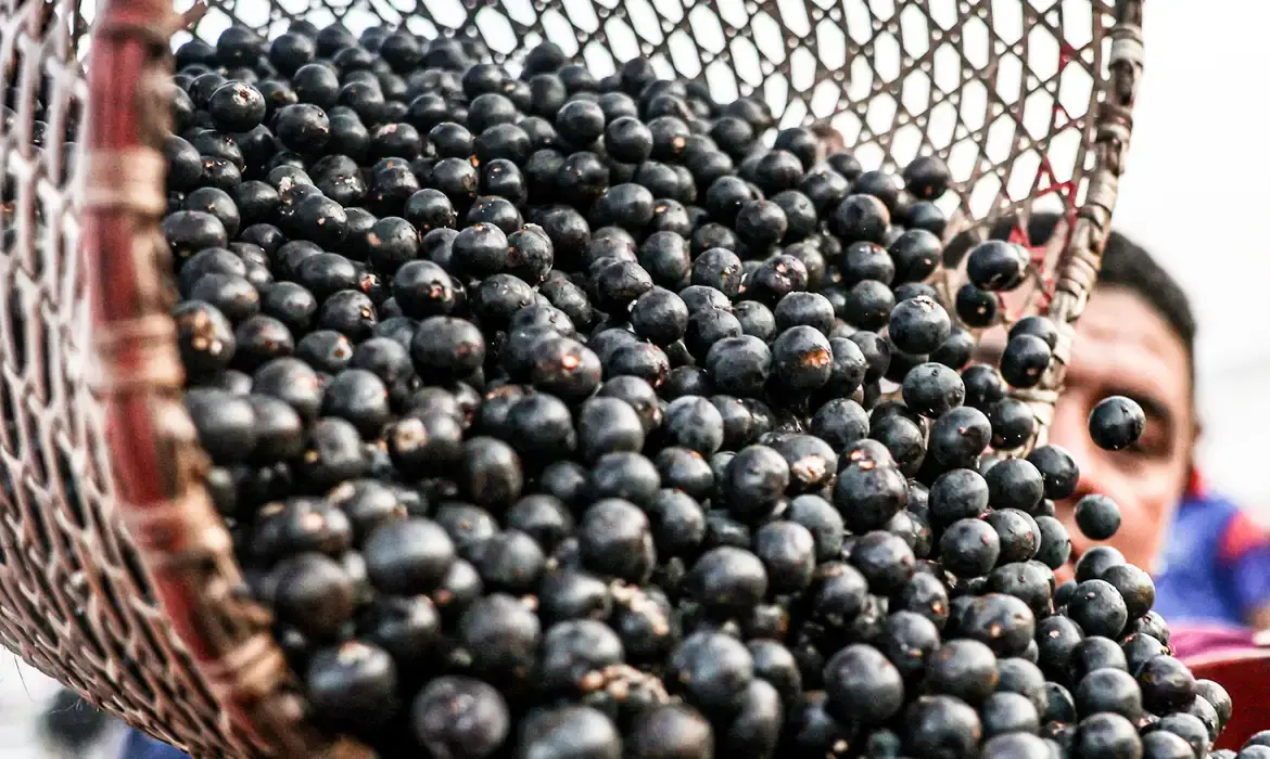 China facilita exportação de polpas e frutas congeladas brasileiras