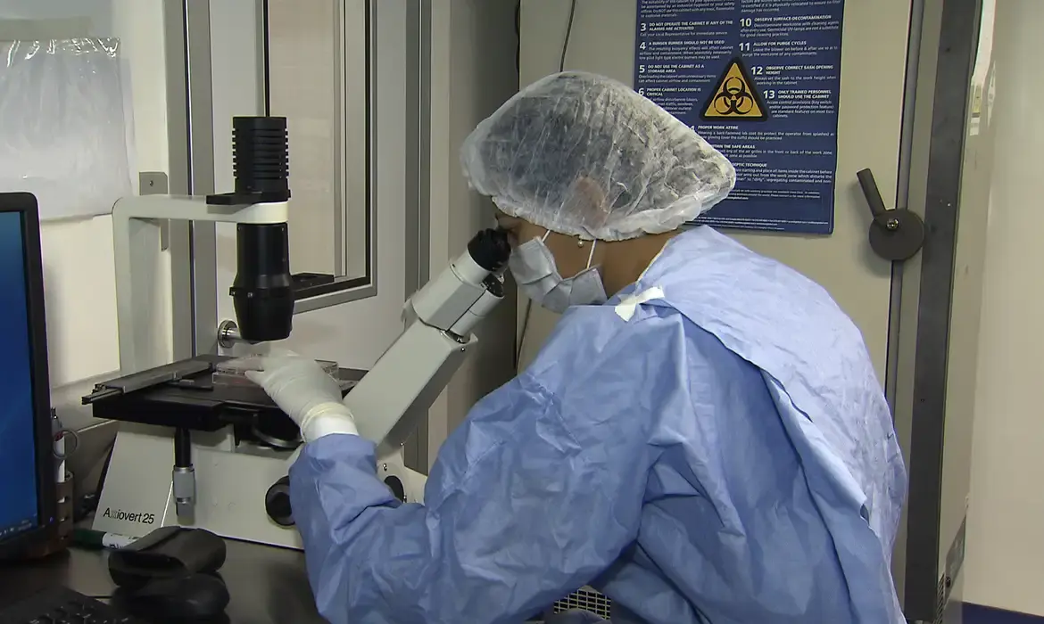 Como cientistas 