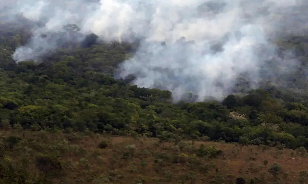 Copernicus: emissão global de gases por incêndios é a menor em 24 anos