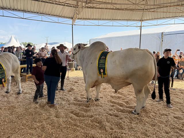 Desfile de animais e banho de leite consagram campeões da 29ª Expofeira Agropecuária 