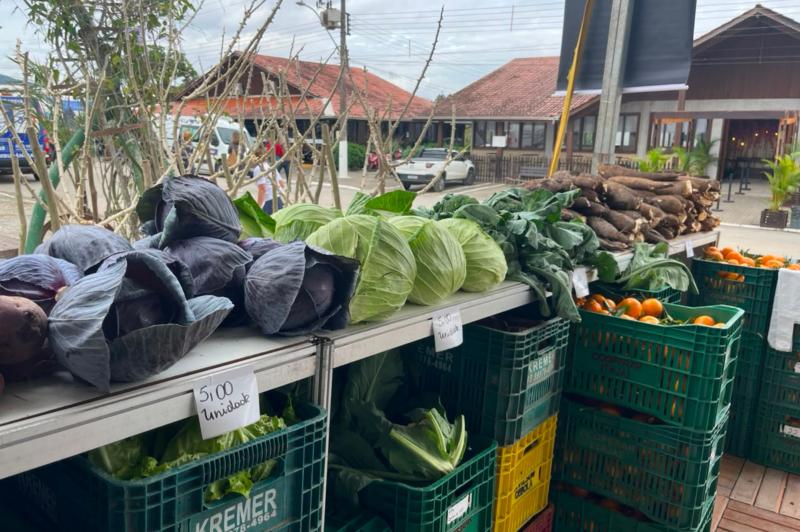 Festa do Colono: Agricultores familiares levam produtos frescos para venda no evento 