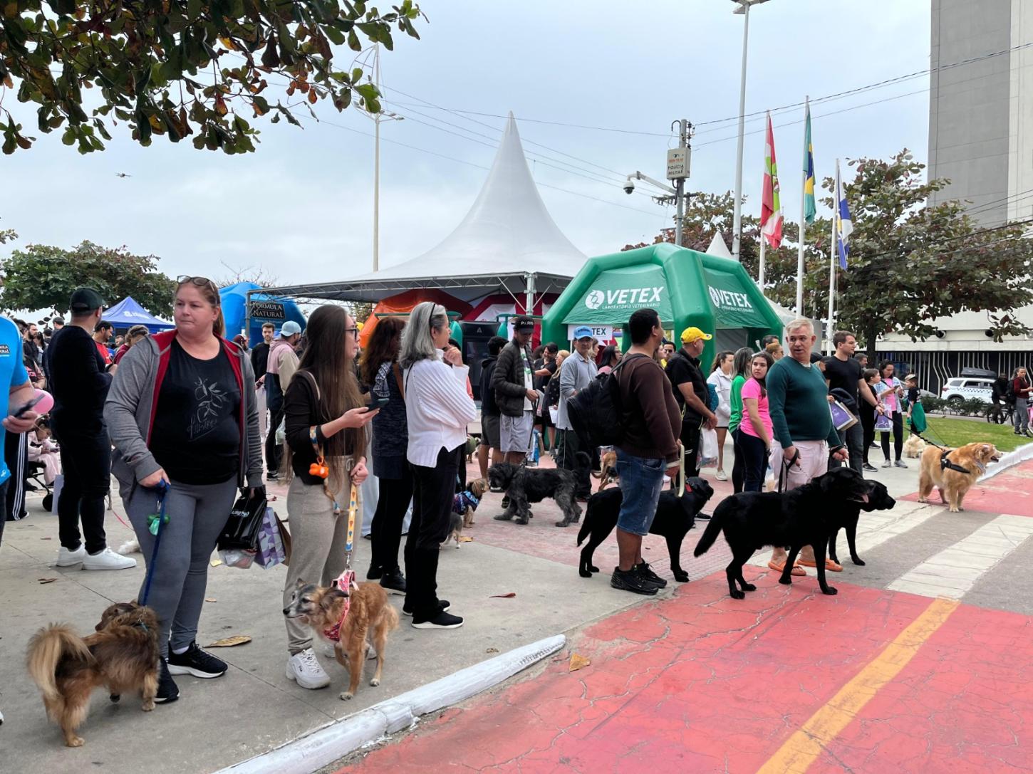 16ª Cãominhada será neste sábado em Balneário Camboriú