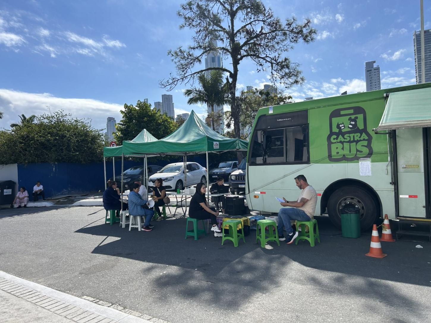 Programa Castra Pet atendeu 80 animais gratuitamente nesta quinta-feira