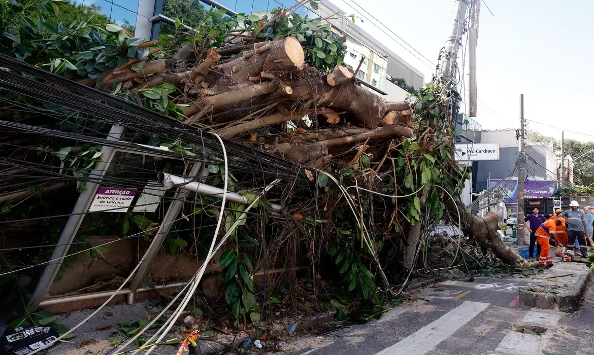 Ventania no Rio de Janeiro, São Paulo e Rio Grande do Sul expõe falhas na resposta a extremos climáticos