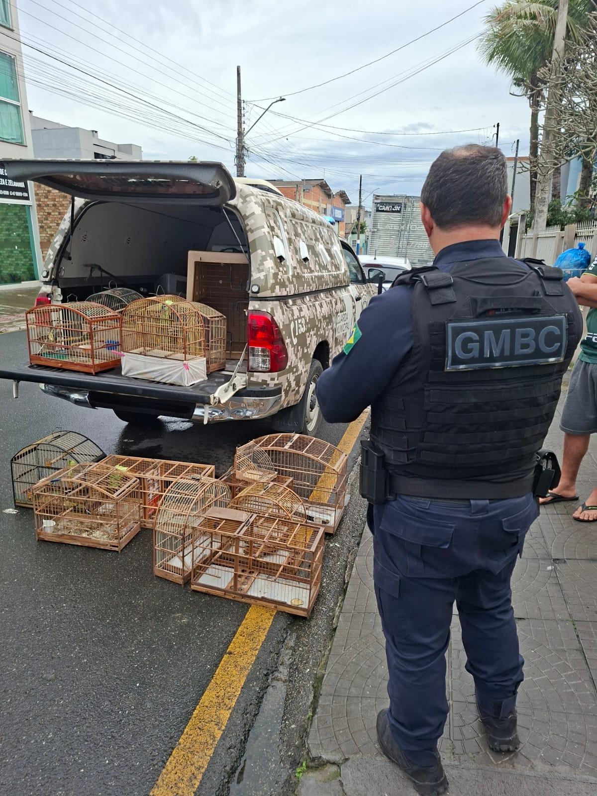 Homem é preso pela Guarda Municipal de Balneário Camboriú mantendo pássaros silvestres em cativeiro 