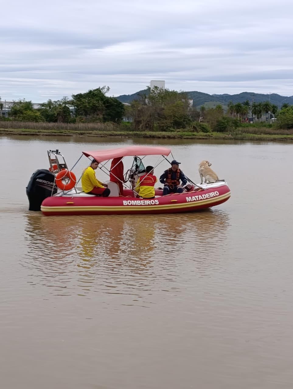 Localizado corpo da mulher desaparecida deste sábado em Tijucas