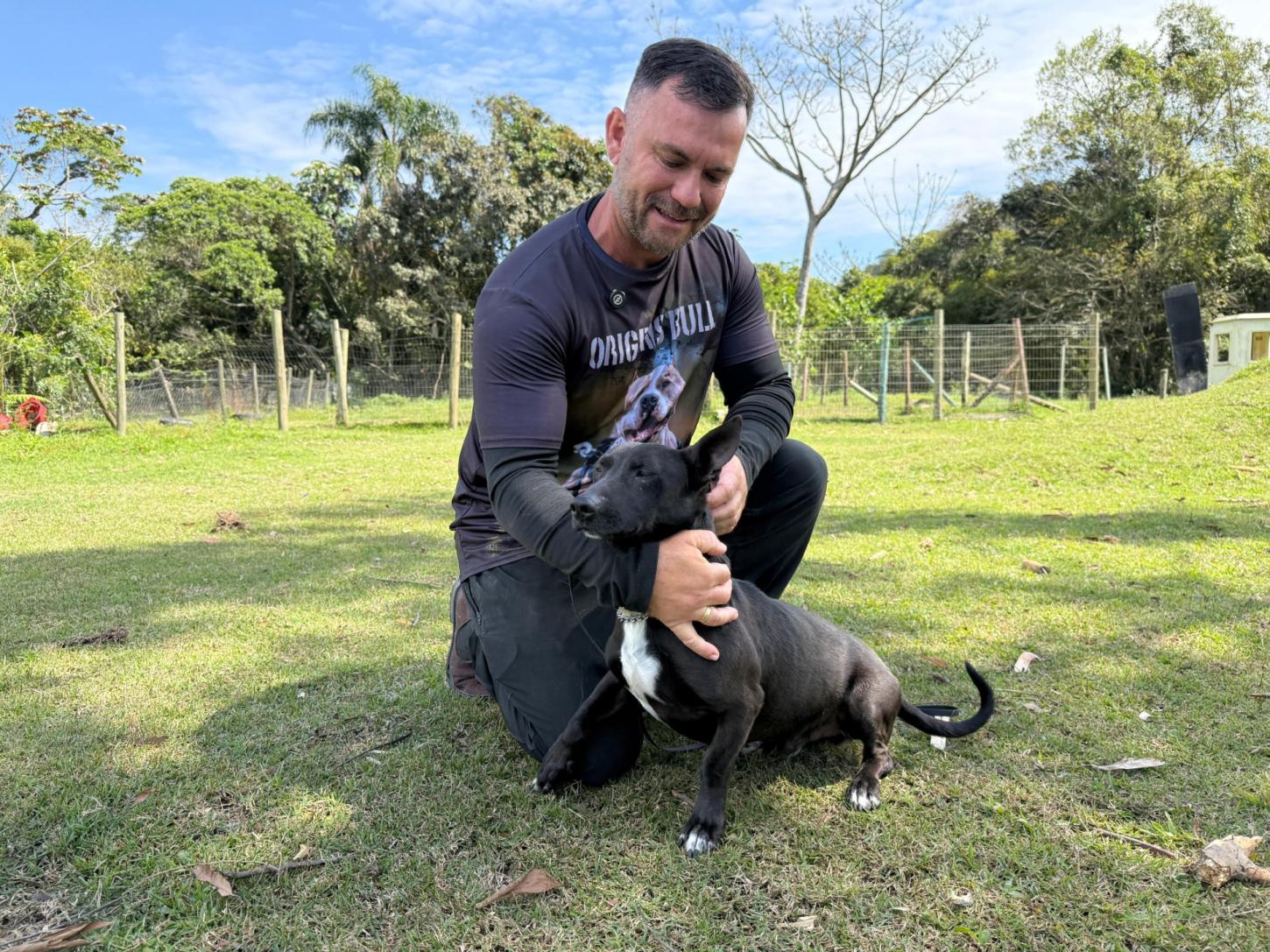 Após maus-tratos e ressocialização, cães ganham nova chance e procuram um lar em Itapema