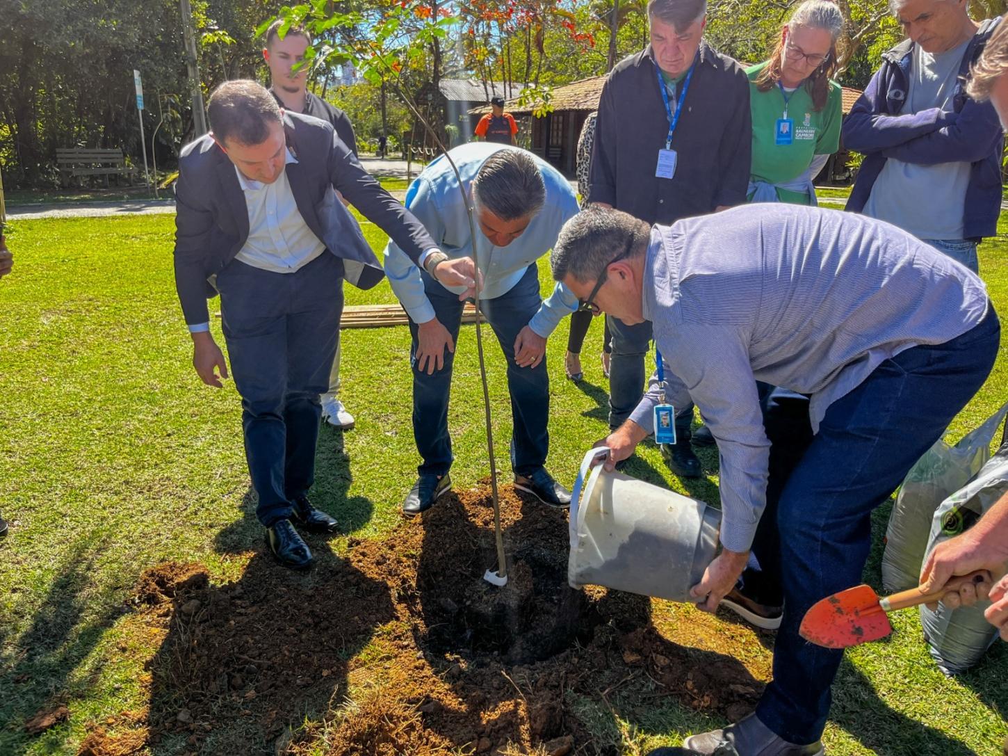 BC + Arborizada: Mais de 2 mil árvores foram plantadas em menos de um ano