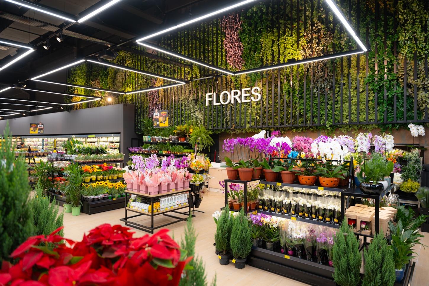 Flores, oficinas e novidades: 9ª Expo Flores Bistek celebra a chegada da Primavera
