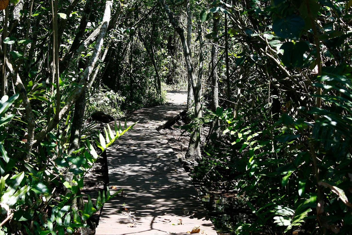 Parque Raimundo Malta