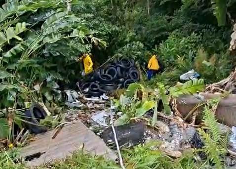 Prefeitura de Balneário Camboriú recolhe pneus descartados em área de preservação 