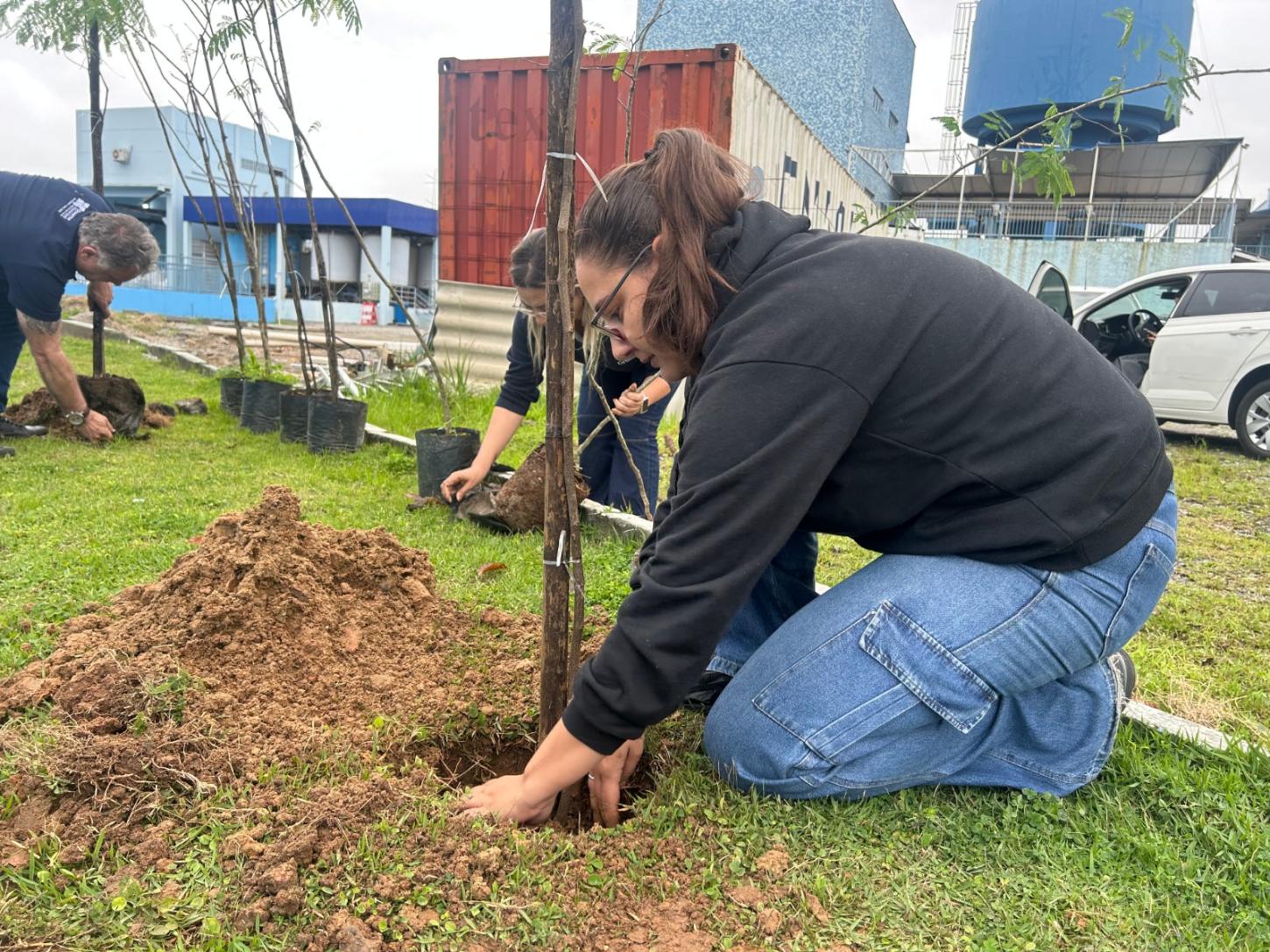 Projeto Floresta de Bolso promove plantio de árvores em Balneário Camboriú