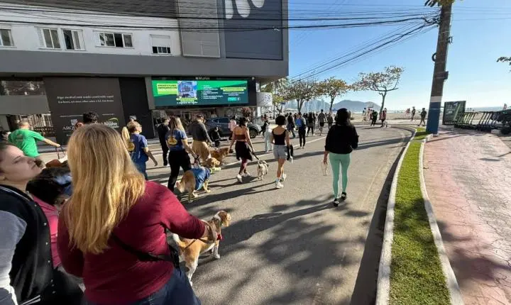 16ª Cãominhada reúne cerca de 200 pessoas e reforça conscientização sobre guarda responsável em Balneário Camboriú 