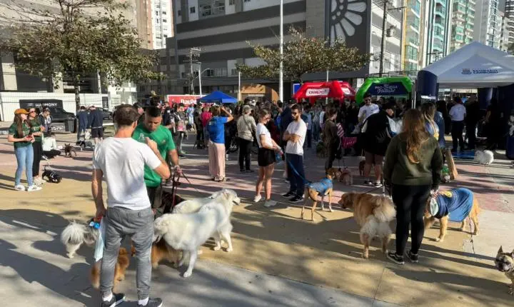 16ª Cãominhada reúne cerca de 200 pessoas e reforça conscientização sobre guarda responsável em Balneário Camboriú 