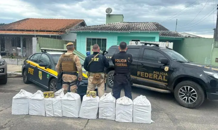 Ação conjunta das forças de segurança apreende 231 quilos de droga e prende um suspeito em Itajaí 