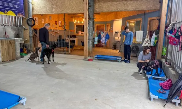 Adestra Pet promove primeiro encontro da 5ª turma