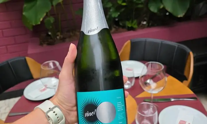 Além dos tintos: restaurateur do Vino! Balneário Camboriú escolhe 5 vinhos de coloração clara para os dias frios