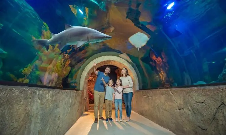 Balneário Camboriú com tempo fechado? Veja 5 passeios para o fim de semana