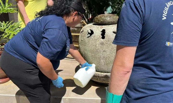 Balneário Camboriú registra queda de 99,8% dos casos de dengue