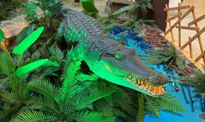 Balneário Shopping recebe exposição gratuita com animais animatrônicos em tamanho real