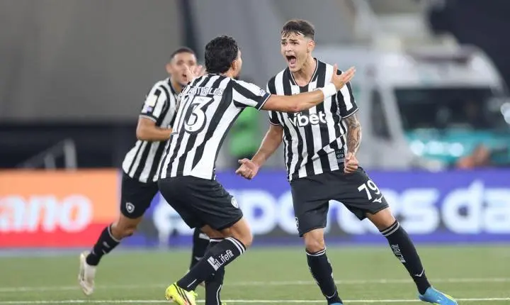Brasileirão: Botafogo e Vitória vencem na retomada pós Copa do Mundo - Confira outros resultados do dia
