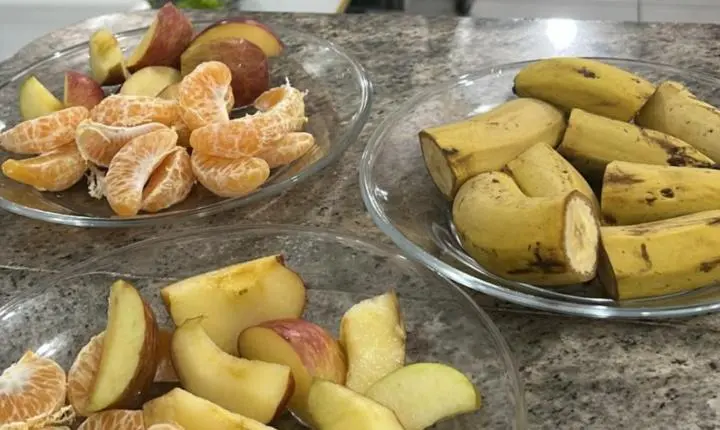 Camboriú reforça importância da nutrição na alimentação escolar