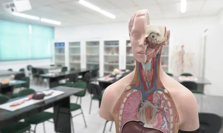 Colégio Uniavan abre Concurso de Bolsas de até 100% para Ensino Fundamental e Médio