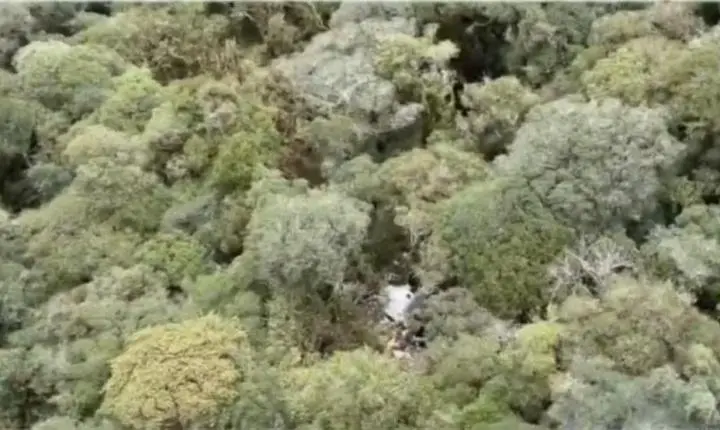 Confirmado: Rick Sollo, da dupla com Renner, morre em queda de helicóptero 