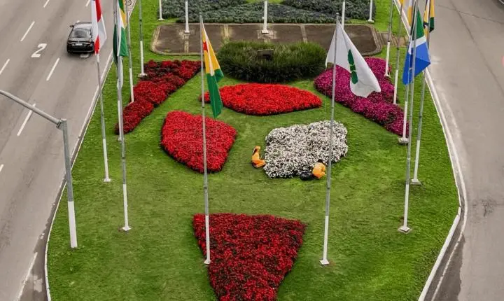 Cuidado o ano inteiro: paisagismo de Balneário Camboriú recebe atenção em todas as estações