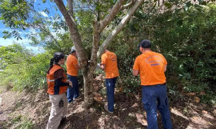 Defesa Civil de Balneário Camboriú inicia atuação em campo com primeira turma de voluntários