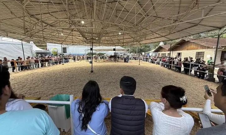 Desfile de animais e banho de leite consagram campeões da 29ª Expofeira Agropecuária 