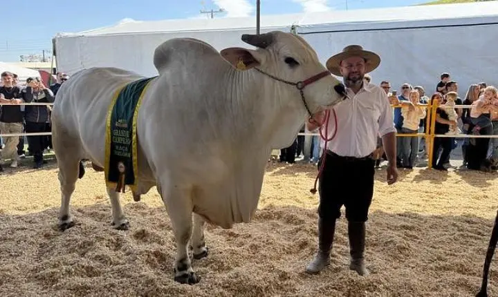 Desfile de animais e banho de leite consagram campeões da 29ª Expofeira Agropecuária 