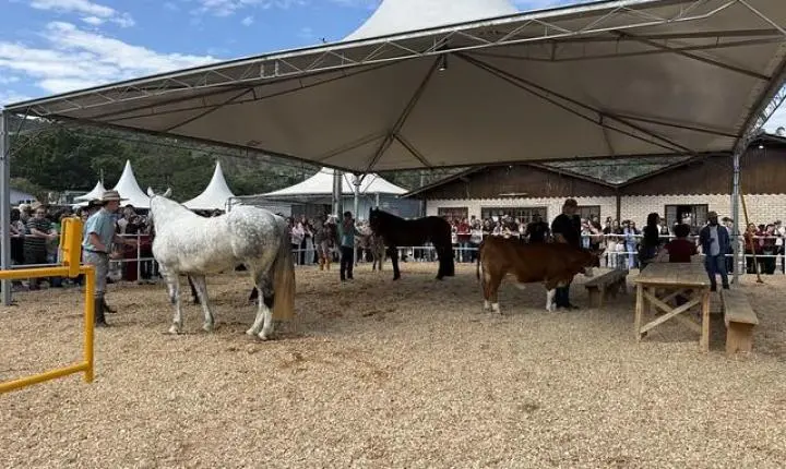 Desfile de animais e banho de leite consagram campeões da 29ª Expofeira Agropecuária 
