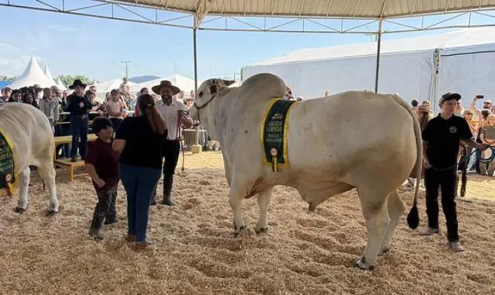 Desfile de animais e banho de leite consagram campeões da 29ª Expofeira Agropecuária 