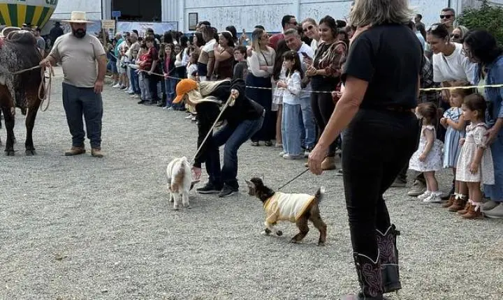 Desfile de animais e banho de leite consagram campeões da 29ª Expofeira Agropecuária 