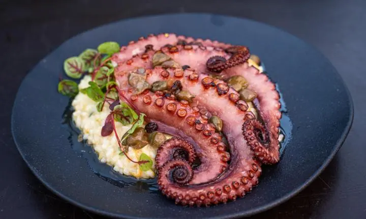 Dia dos Pais: Bistrô da Pousada Estaleiro Guest House reúne gastronomia autoral, natureza e menu especial em Balneário Camboriú