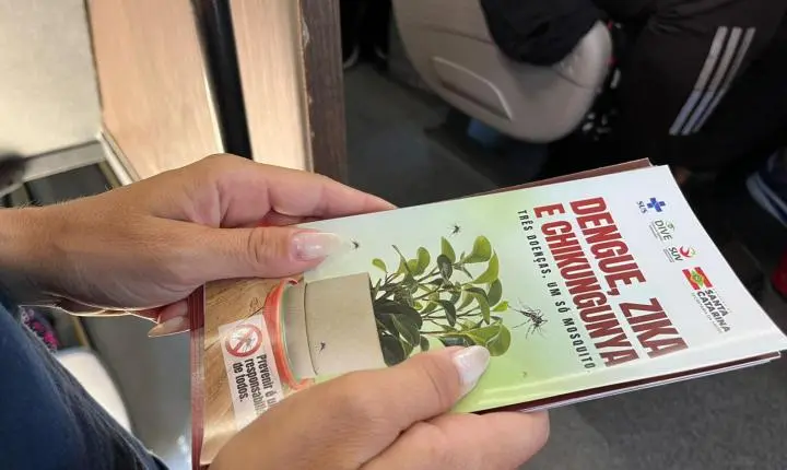 Dia Mundial do Mosquito: Balneário Camboriú realiza diversas ações de prevenção e conscientização contra a dengue