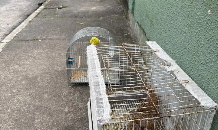 Duas crianças ficaram feridas após uma escada da residência cair em imóvel no Bairro da Barra