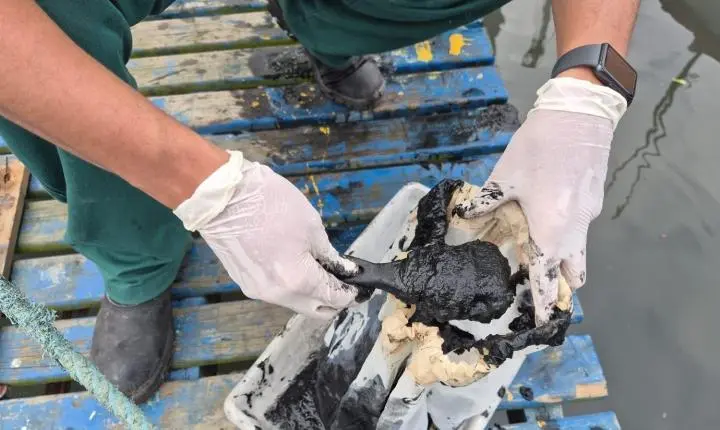 Emasa inicia levantamento ambiental para desassoreamento do Rio das Ostras